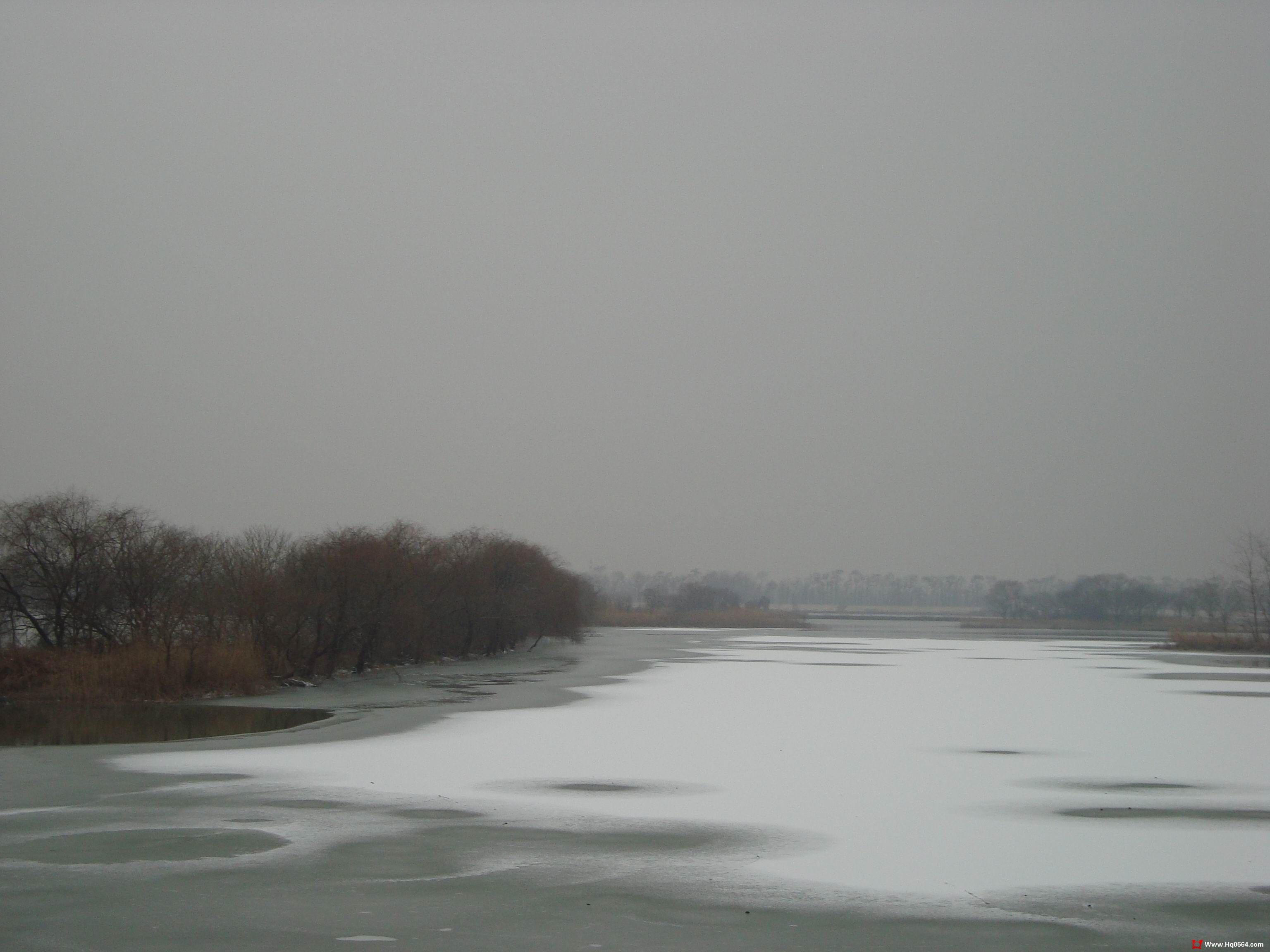 DSC05113.jpg