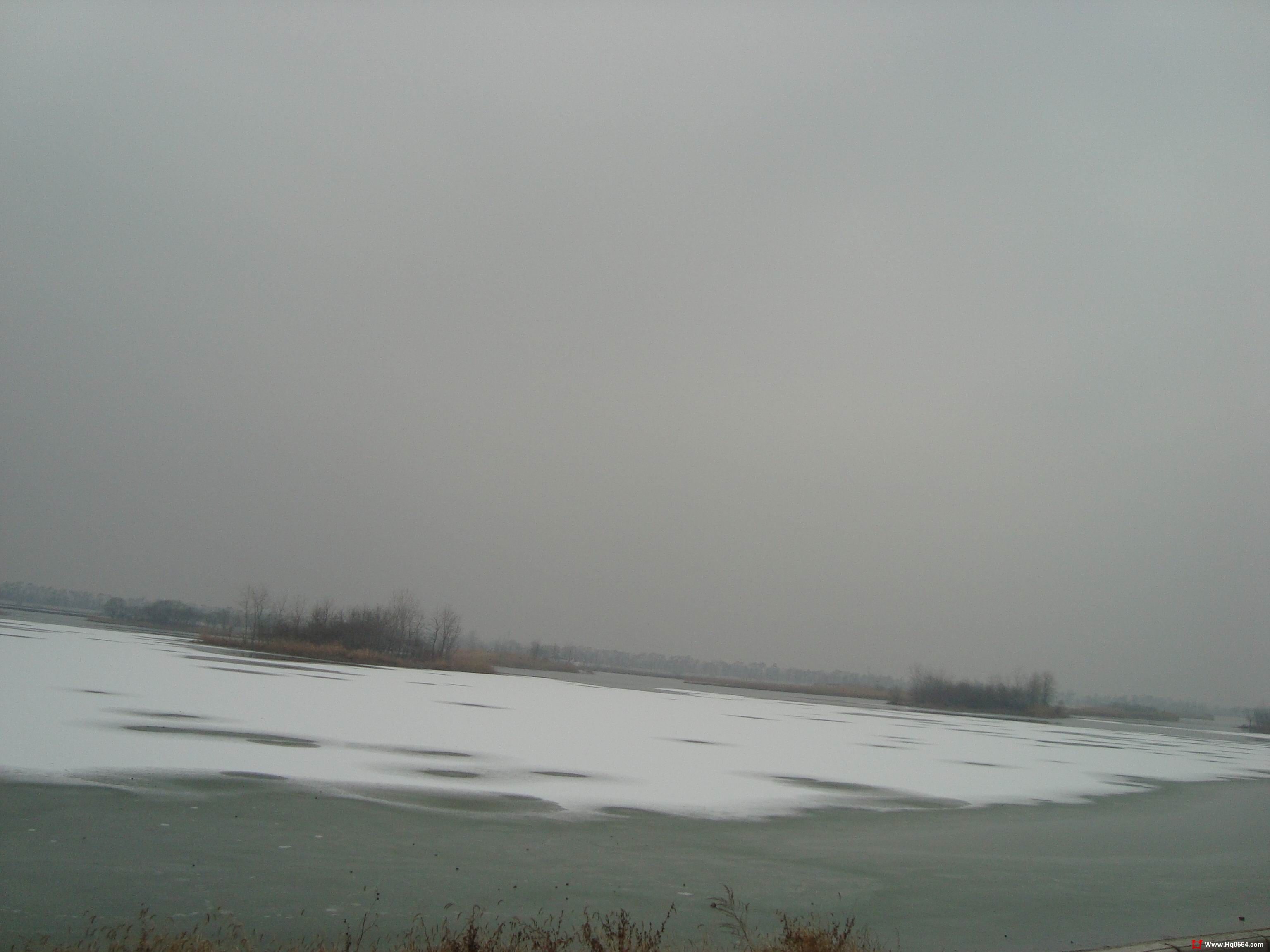 DSC05114.jpg