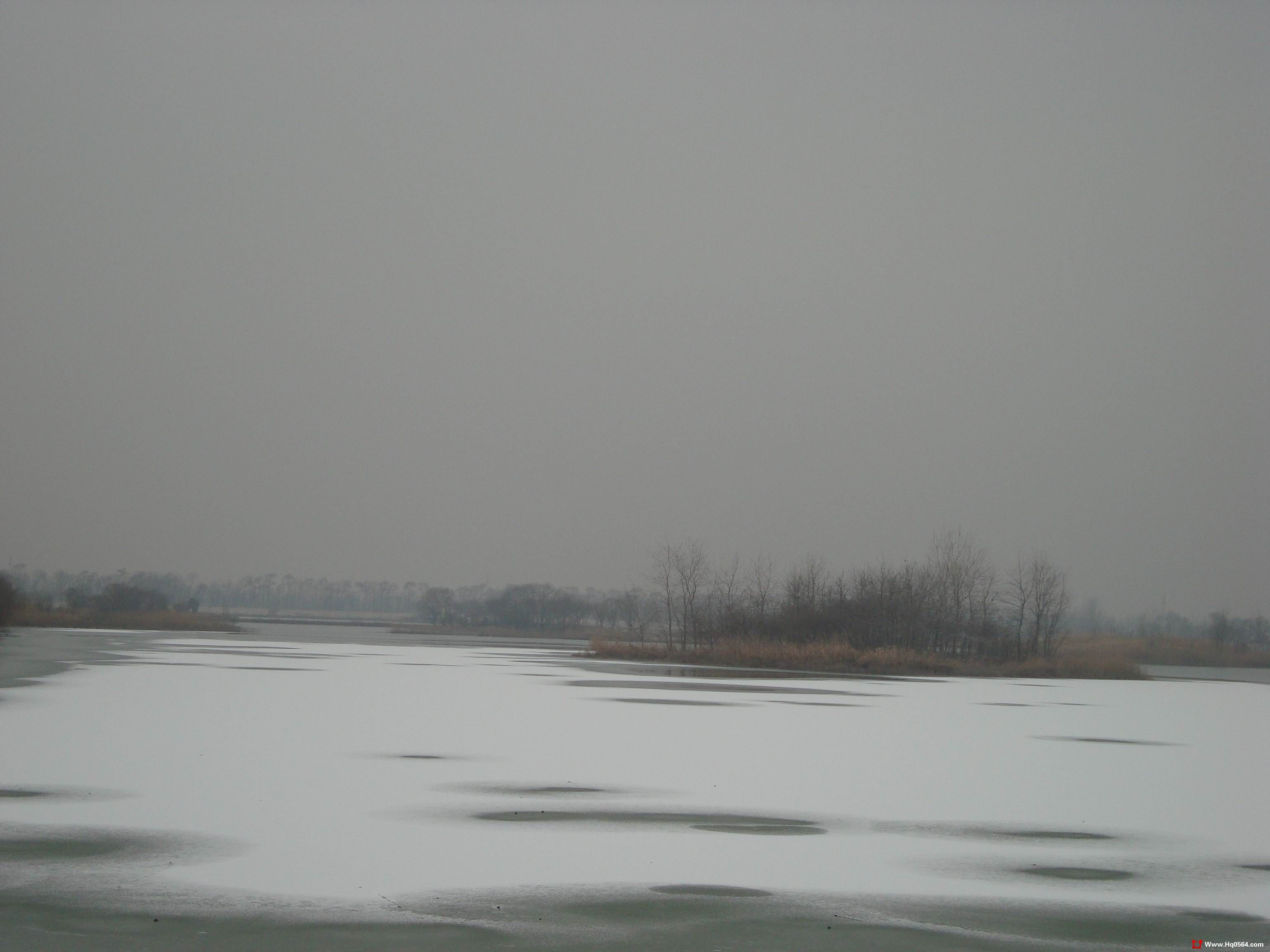 DSC05115.jpg