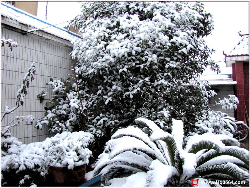 ��ѩ08.jpg