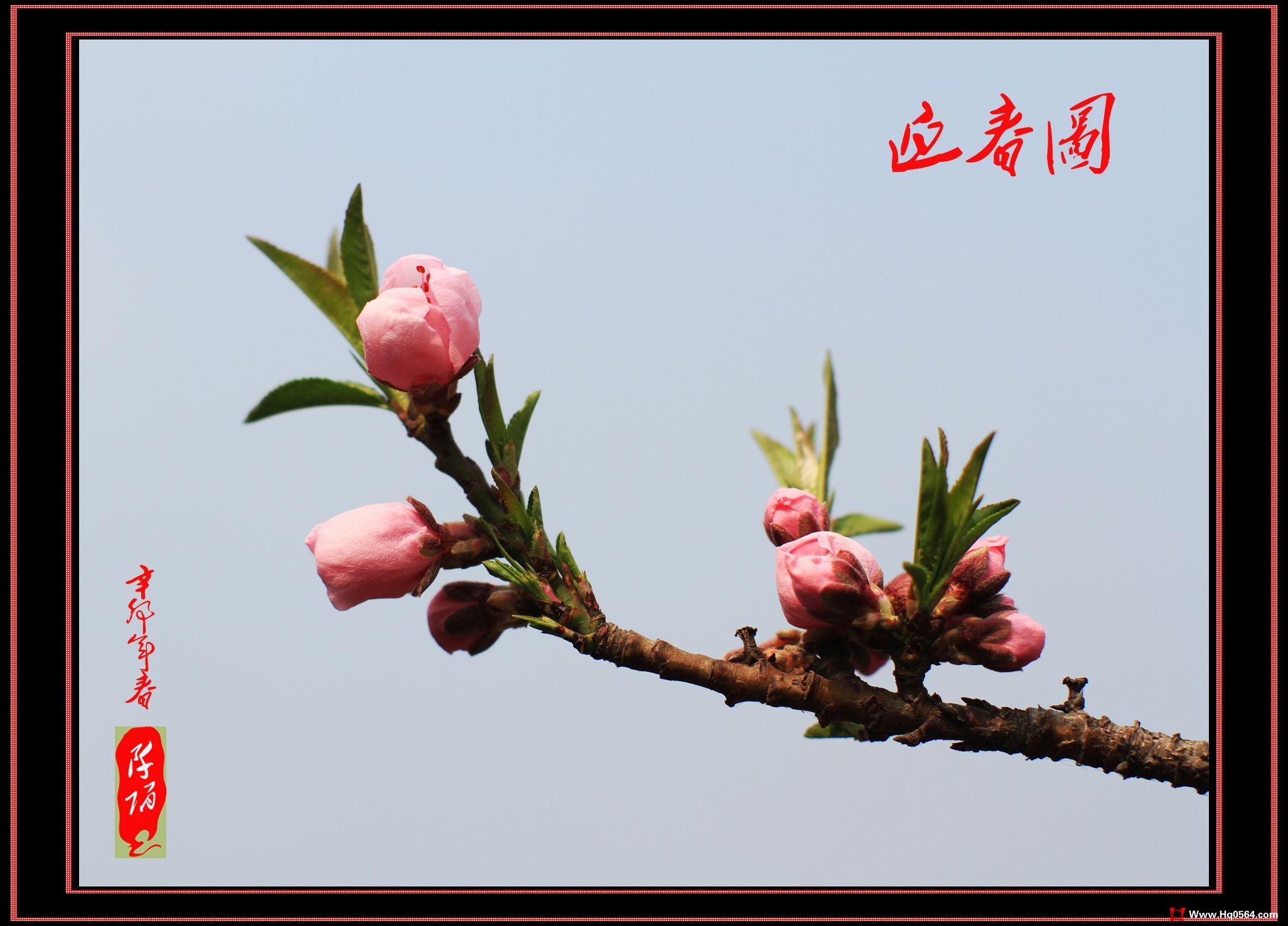IMG_1640-1-1.jpg