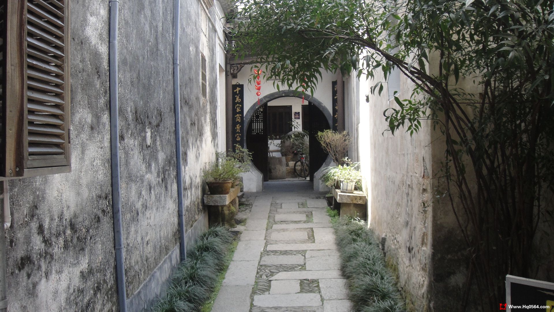 DSC01650.JPG