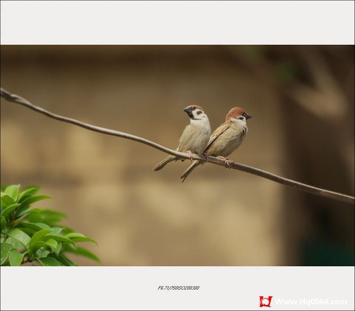 IMGP6740.jpg