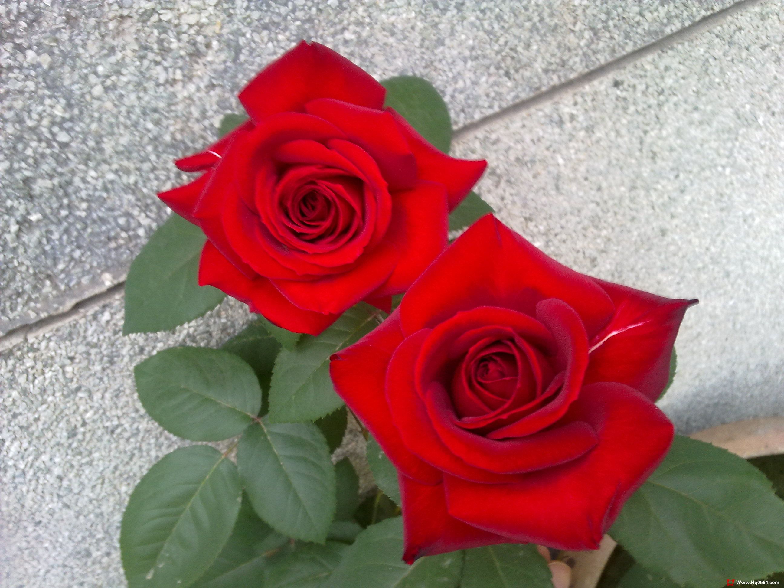 20110506067.jpg