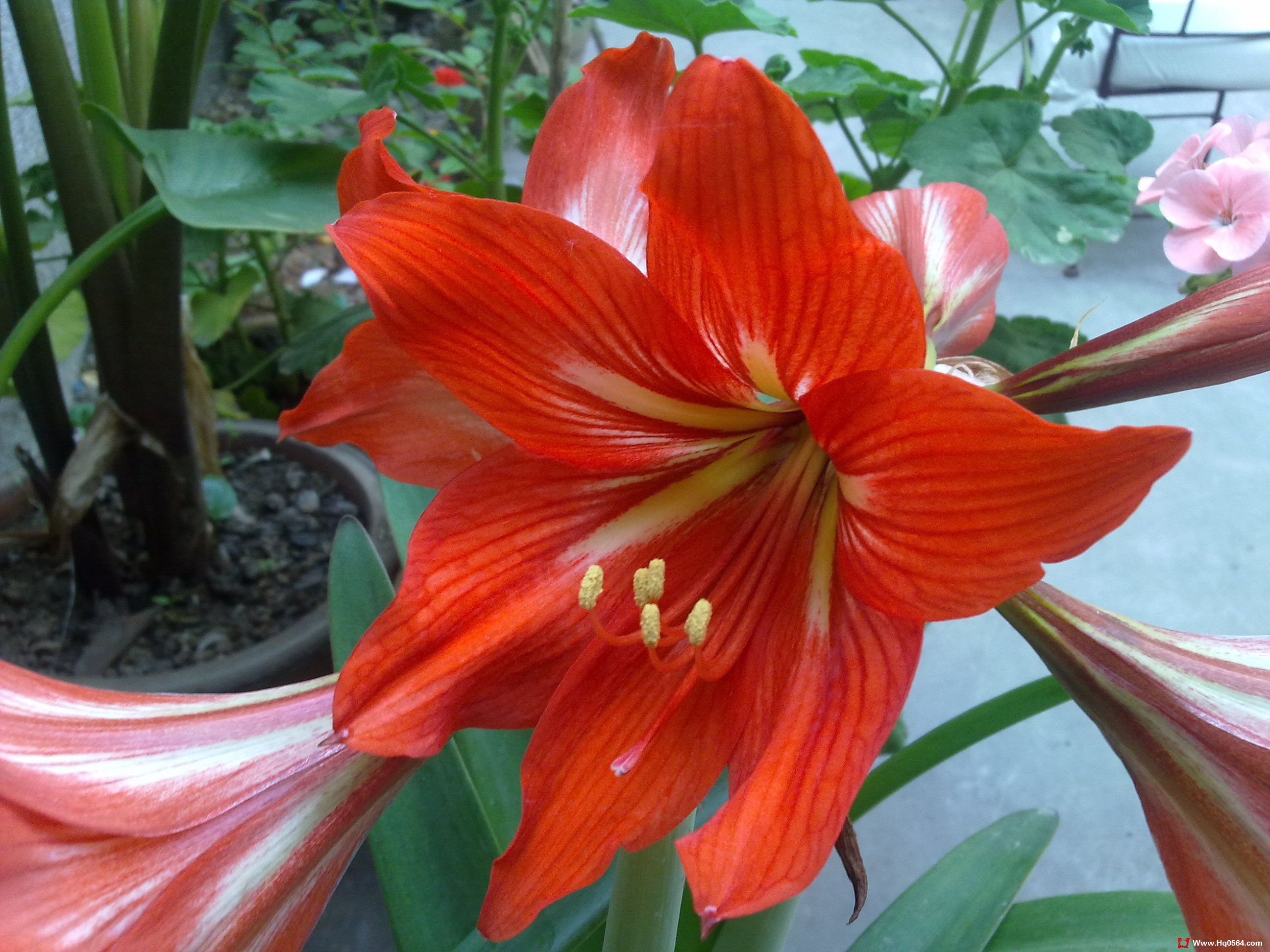 20110506071.jpg