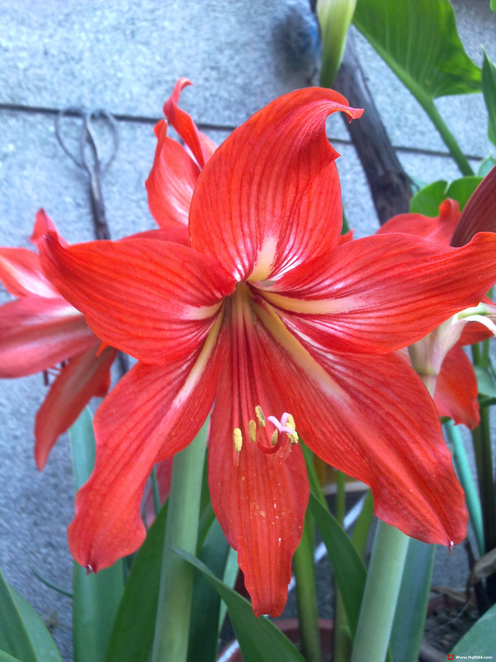 20110506072.jpg