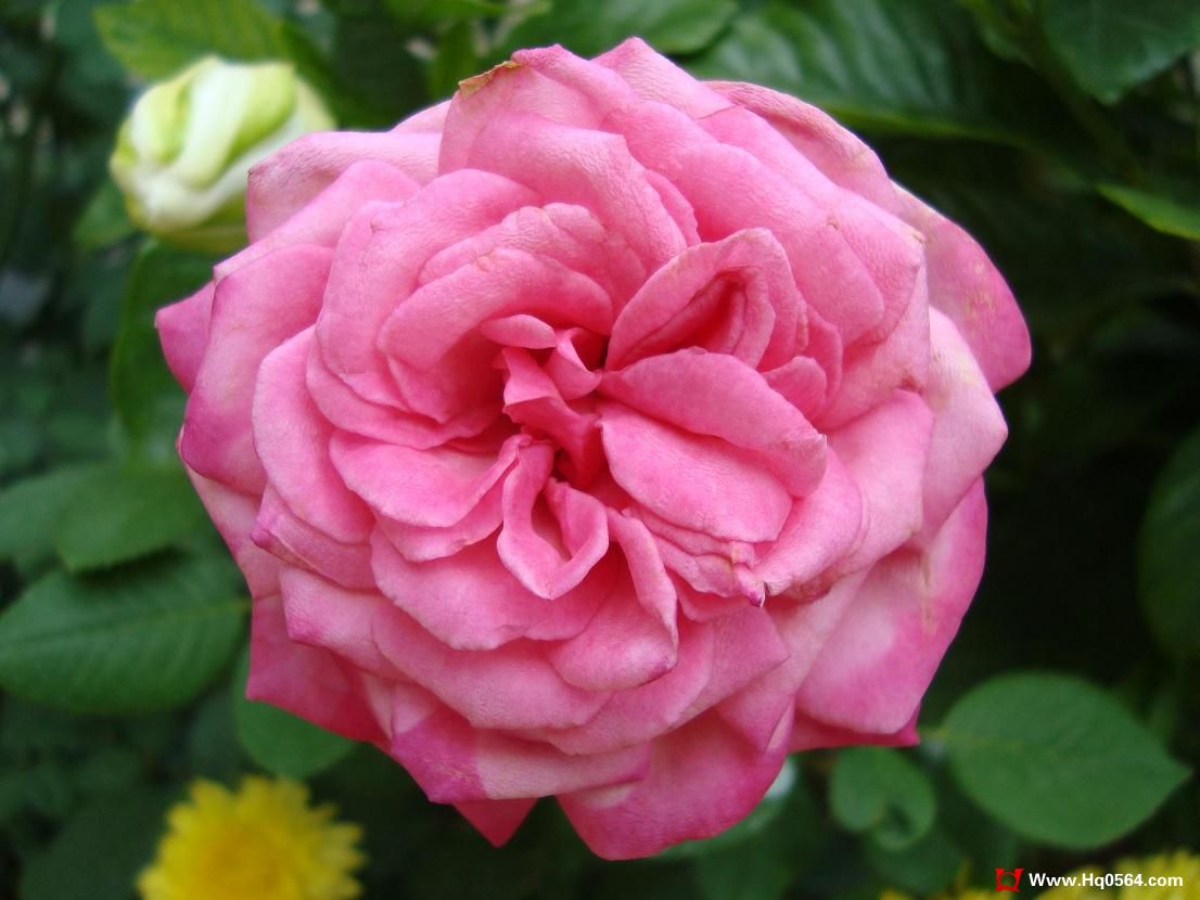 DSC00414.JPG