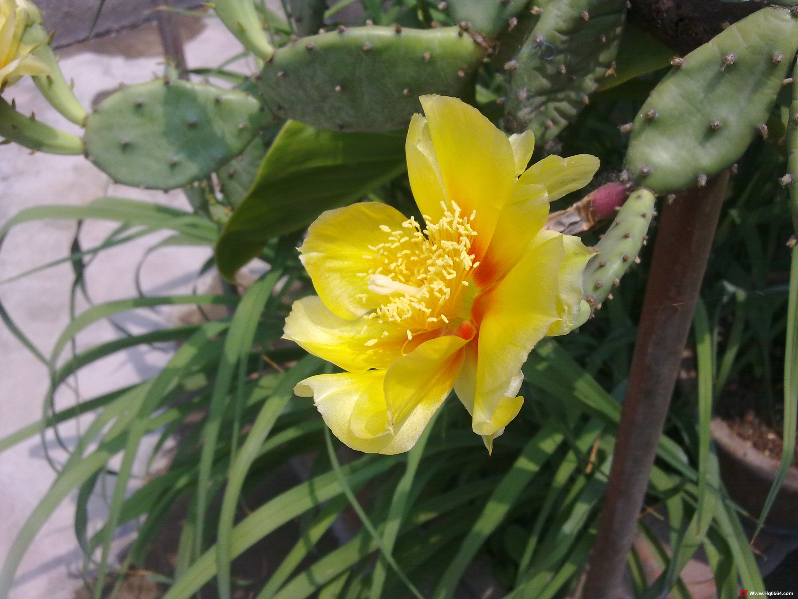 20110520089.jpg
