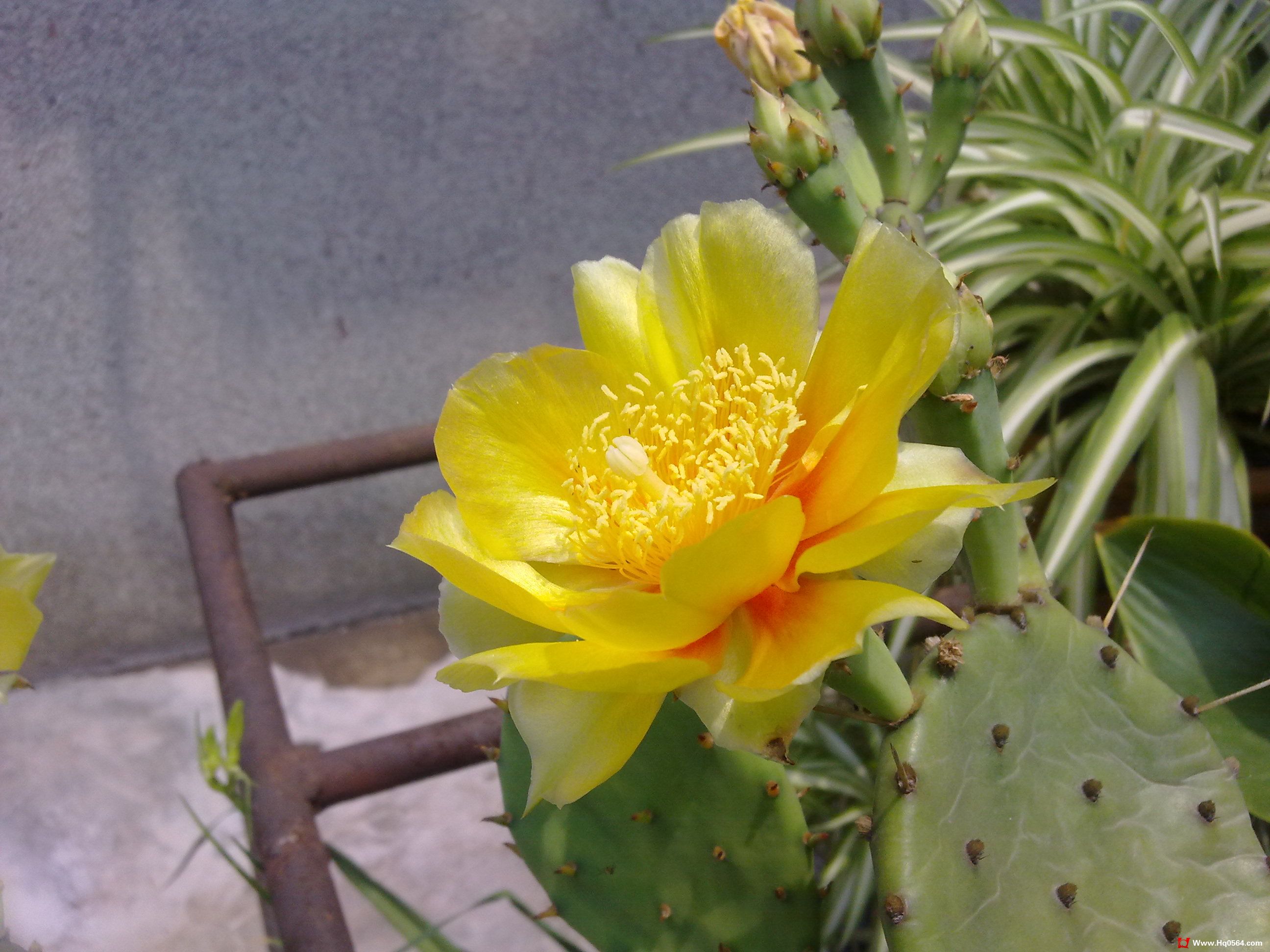 20110520091.jpg