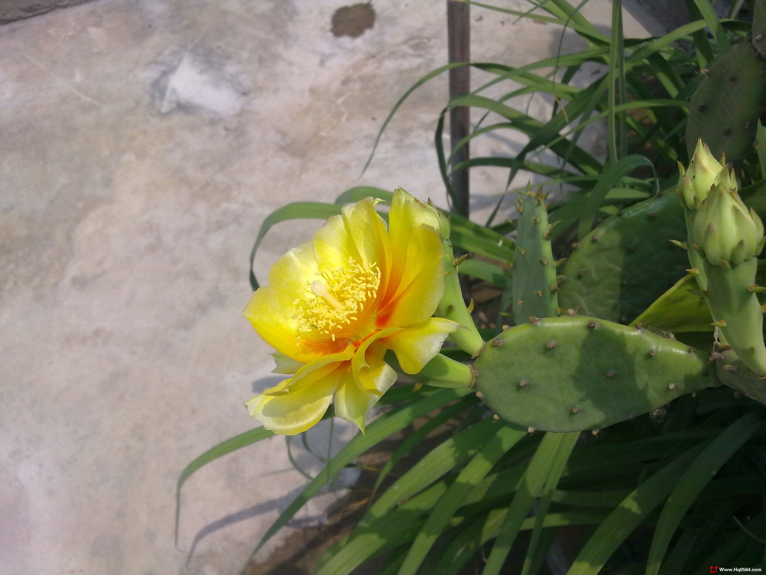 20110520092.jpg