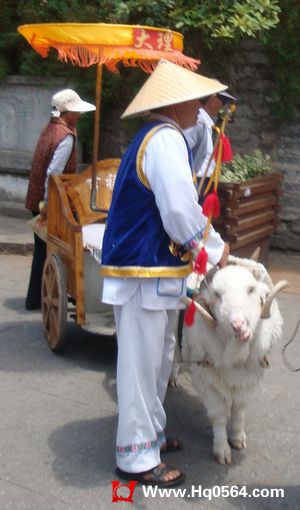 DSC05498.JPG