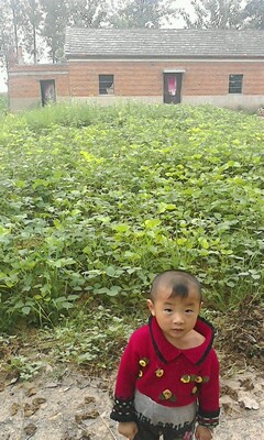 IMG0368A.jpg