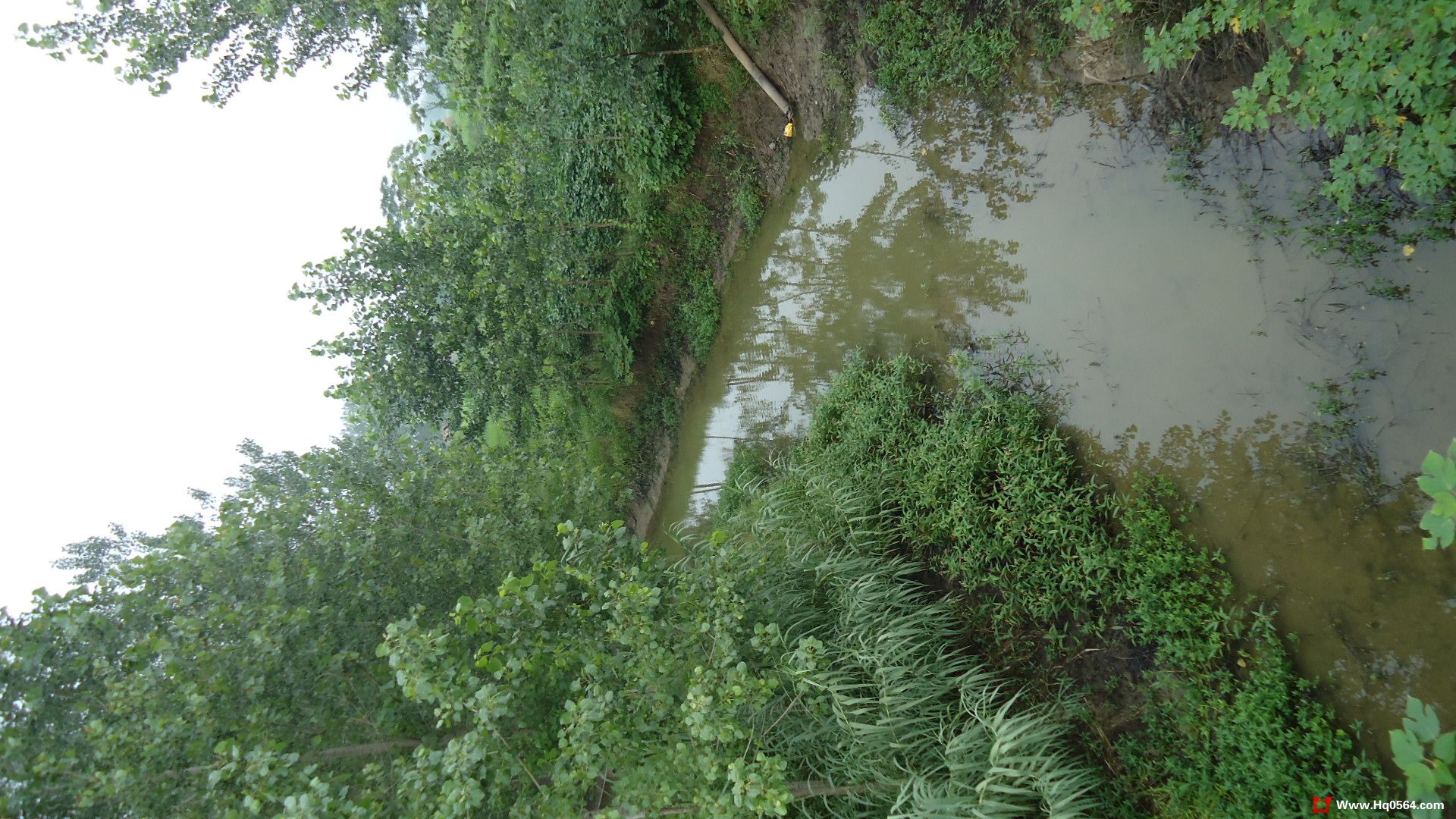 DSC00418.JPG