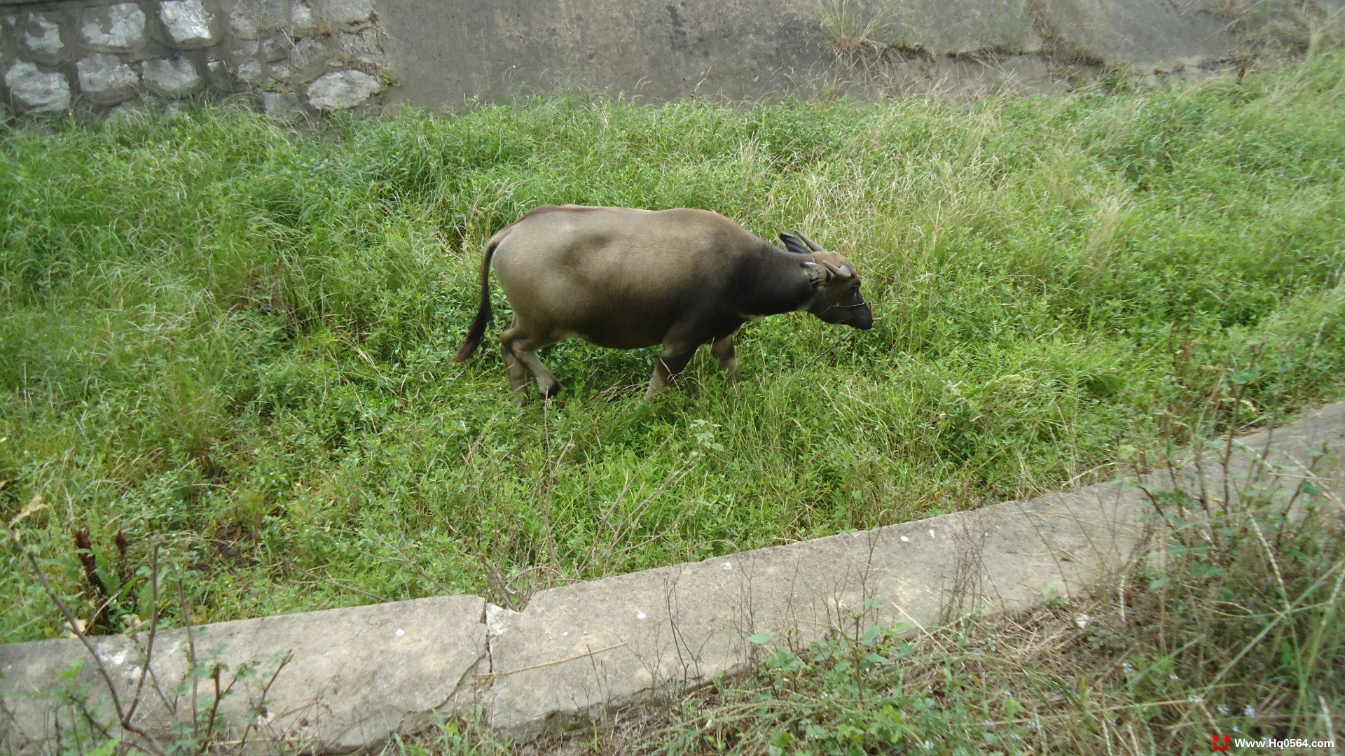 DSC00420.JPG