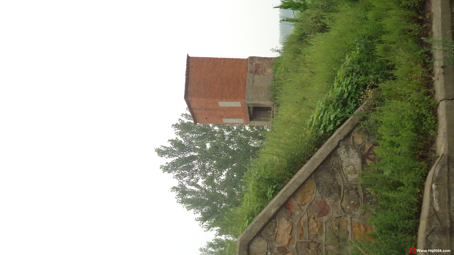 DSC00424.JPG