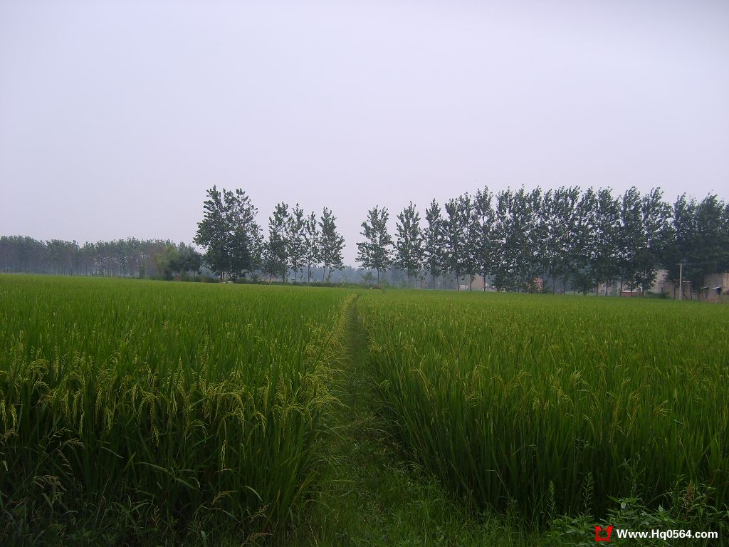 S6001905.JPG