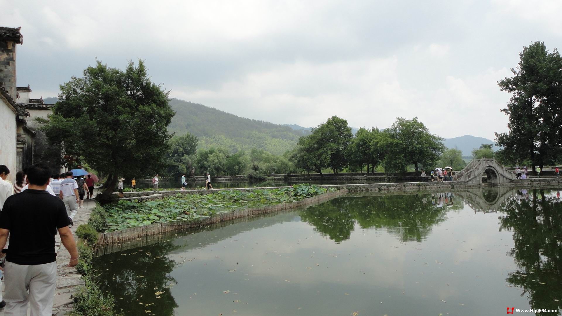 DSC03141.jpg