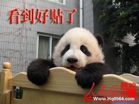 20110123_df433b36260541e417781I7ORDDNSKCK.jpg