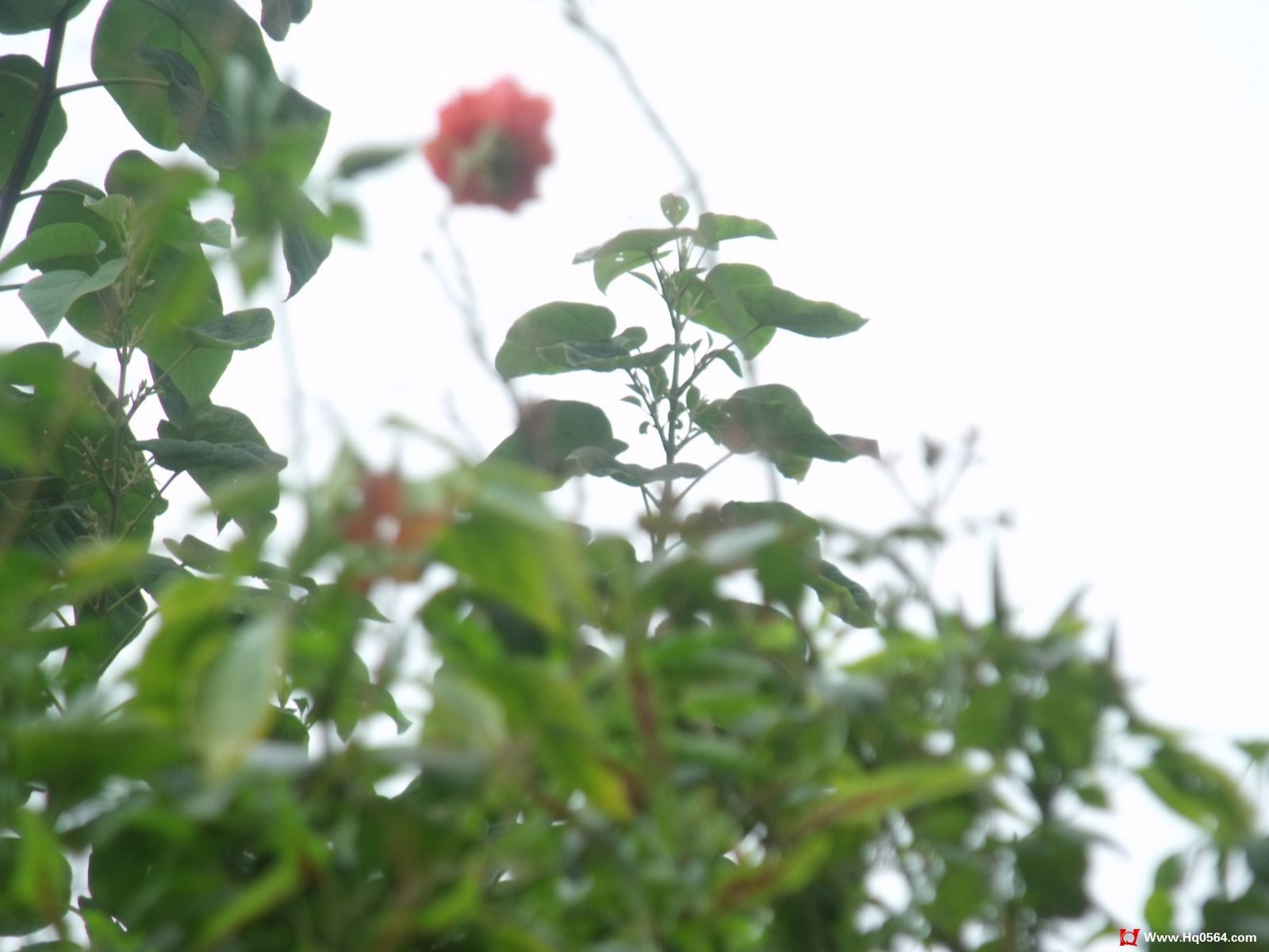 DSCF3839.jpg