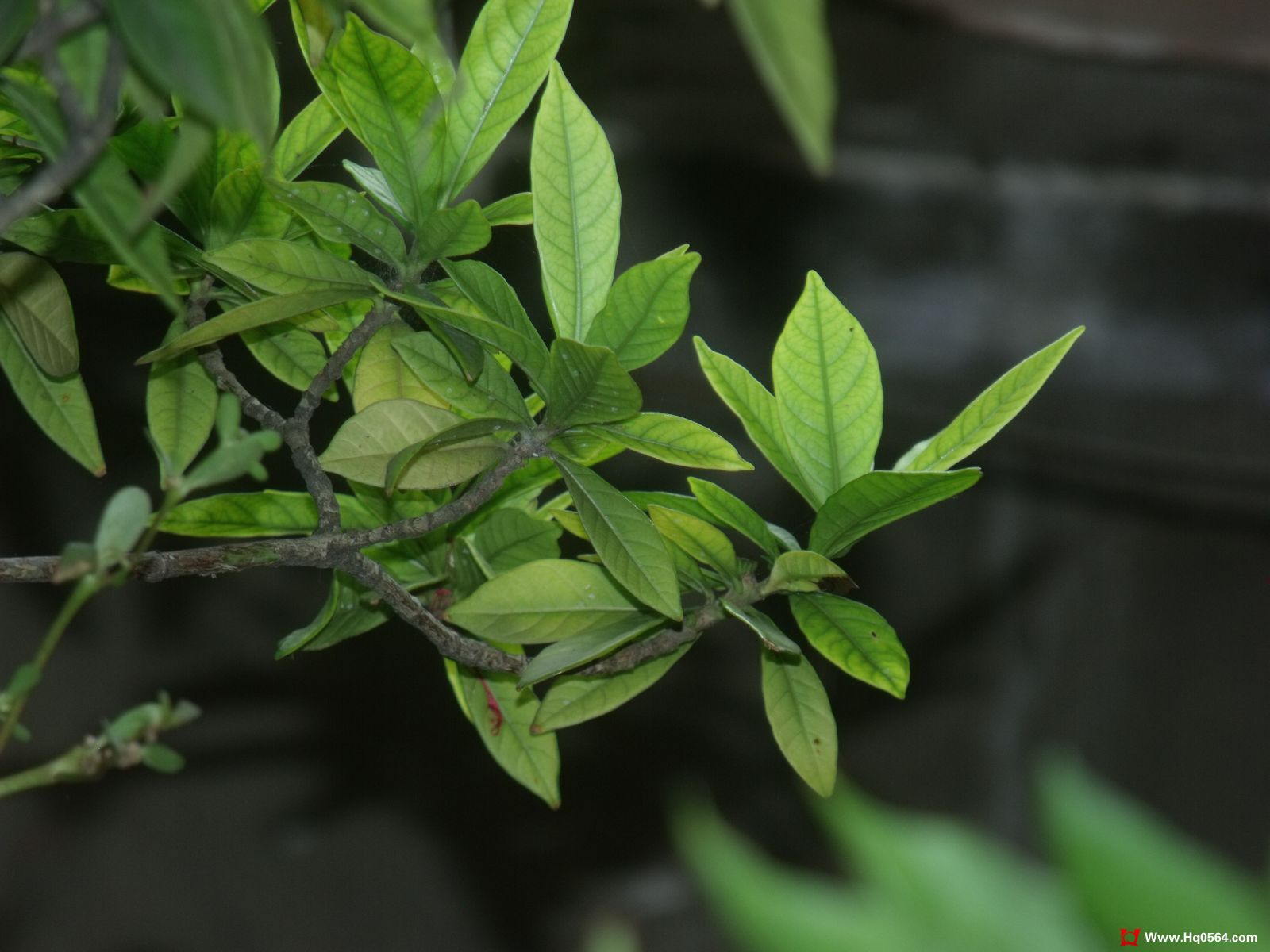 DSCF3840.jpg