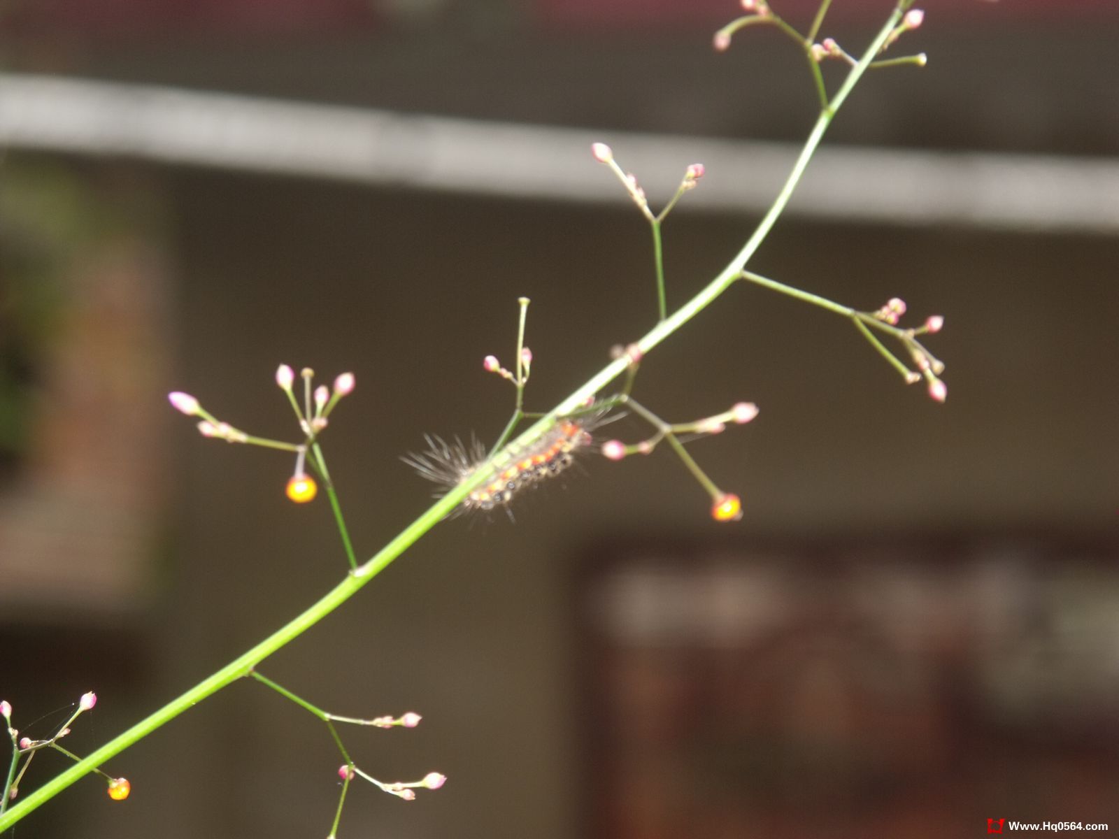 DSCF3851.jpg
