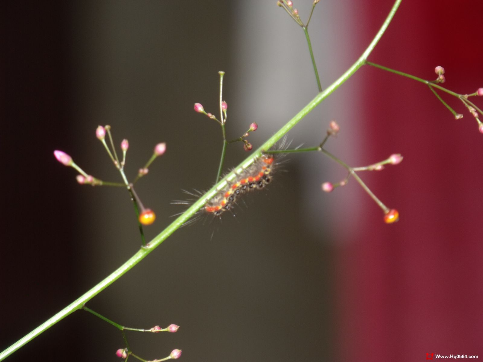 DSCF3893.jpg