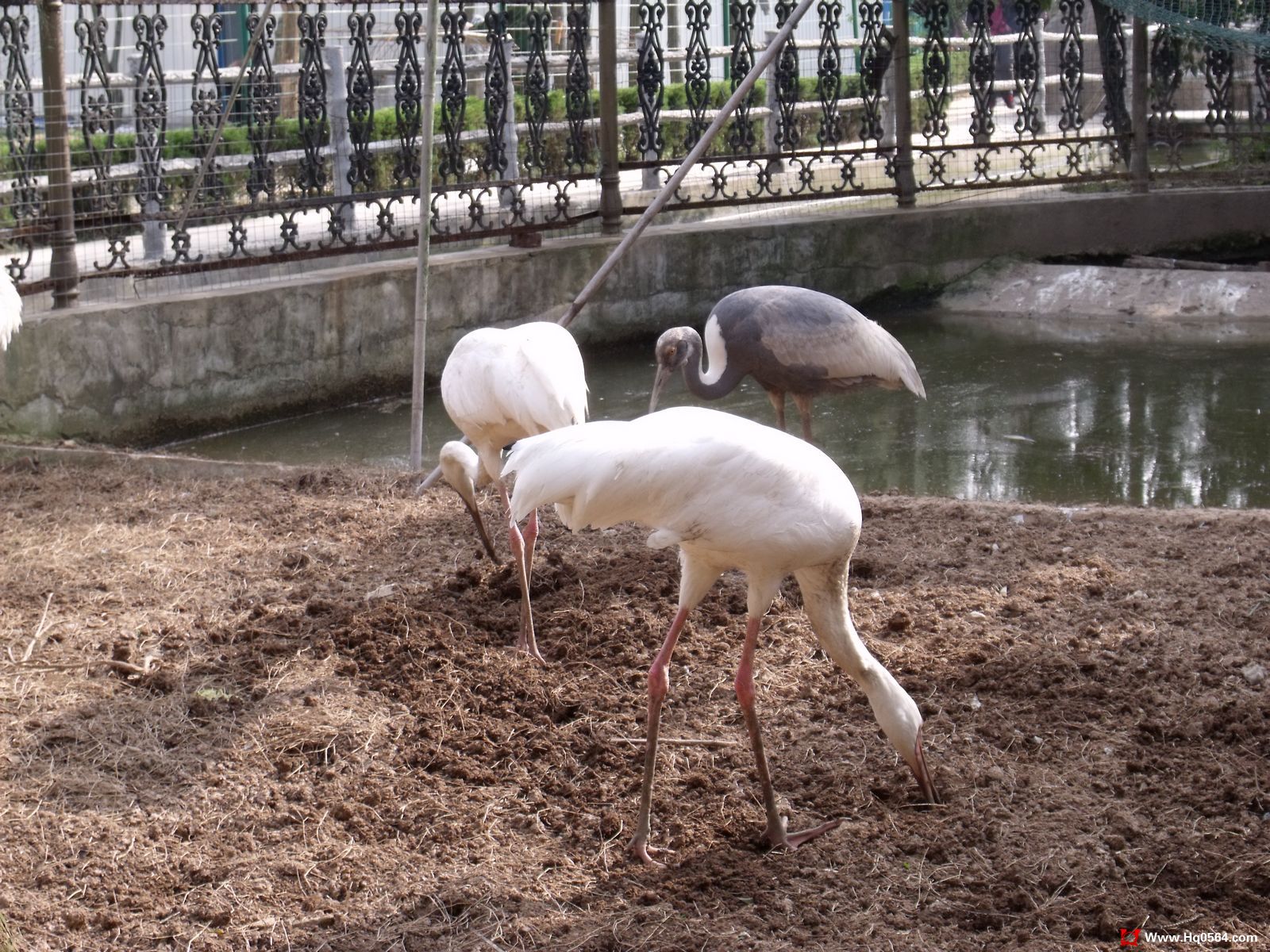 DSCF0373.jpg