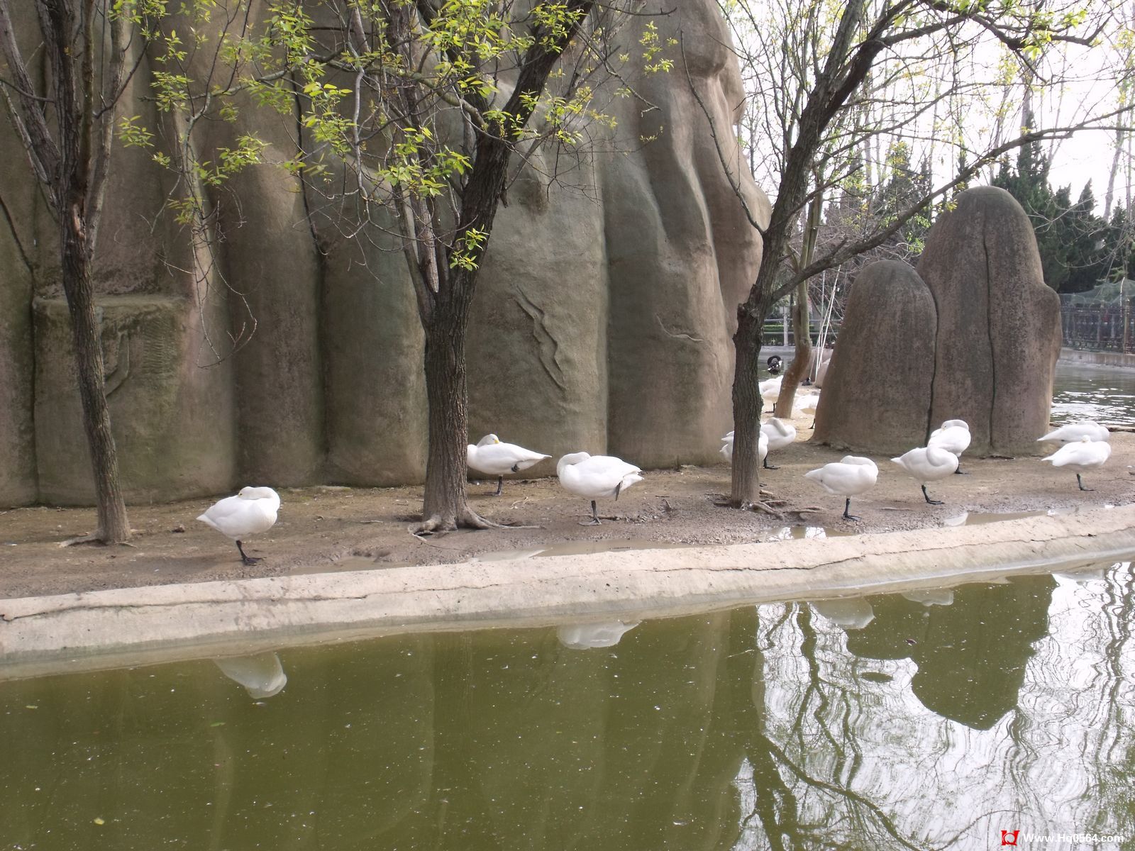 DSCF0378.jpg