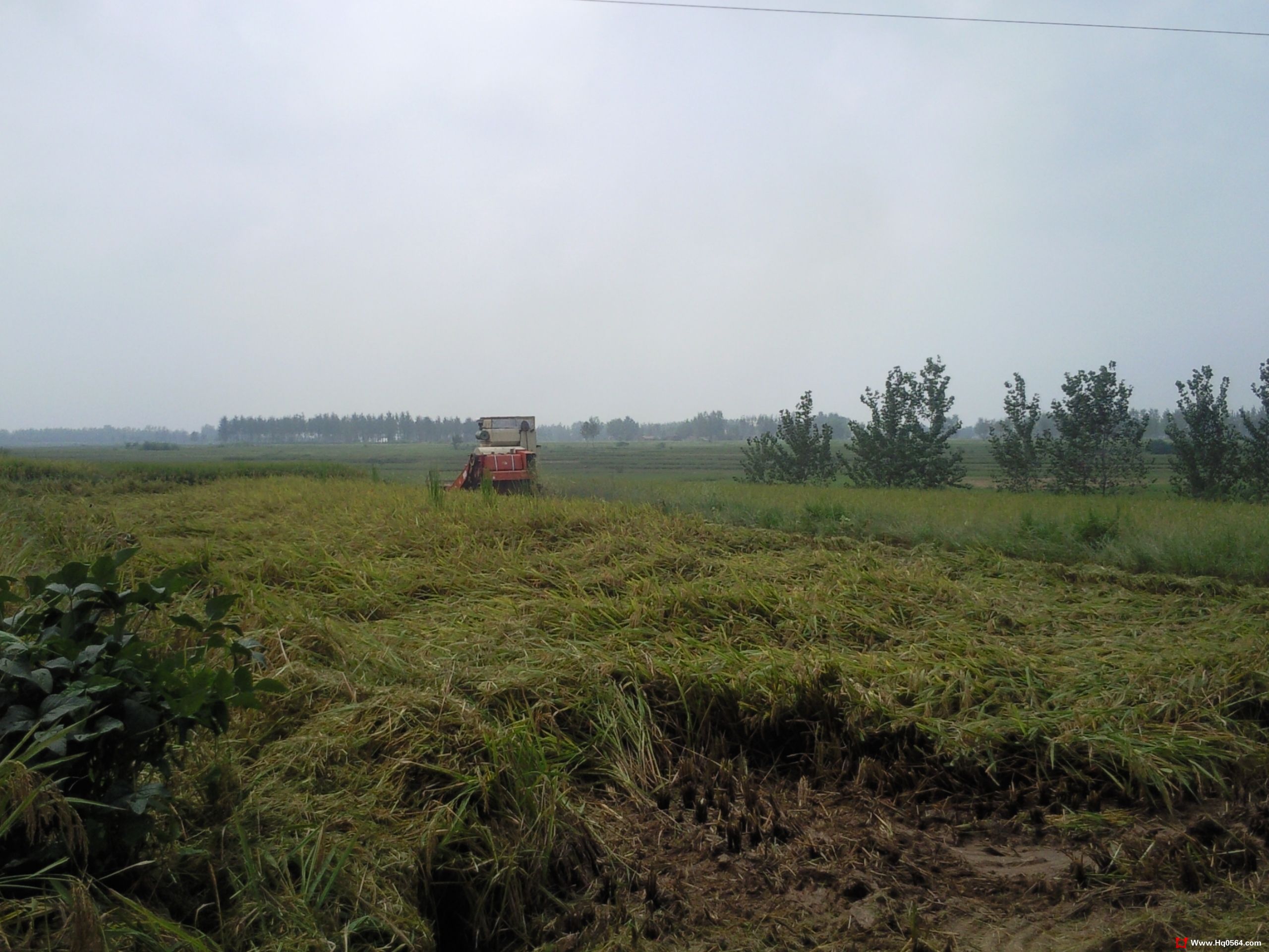 ��Ƭ0751.jpg