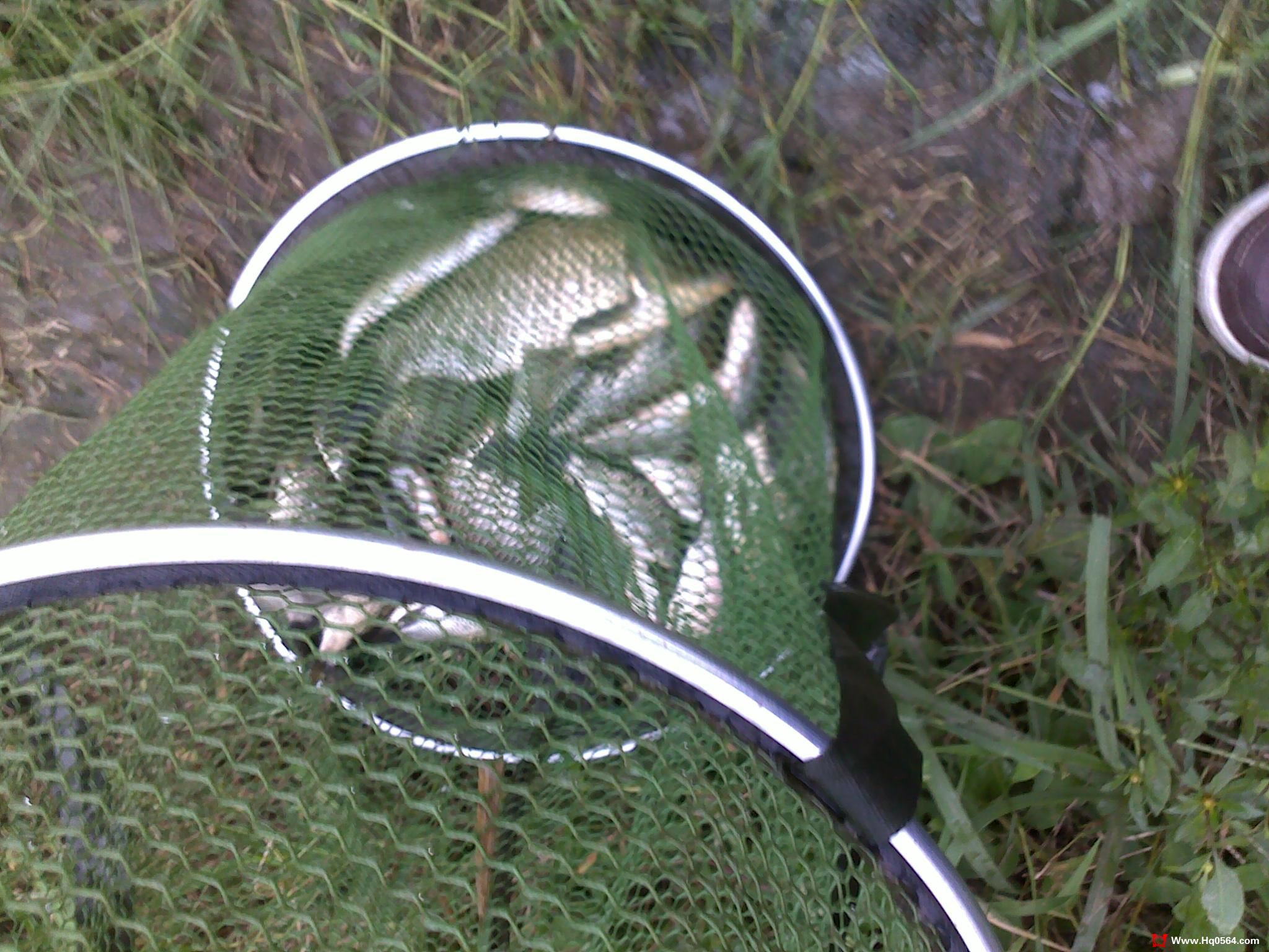 04.jpg