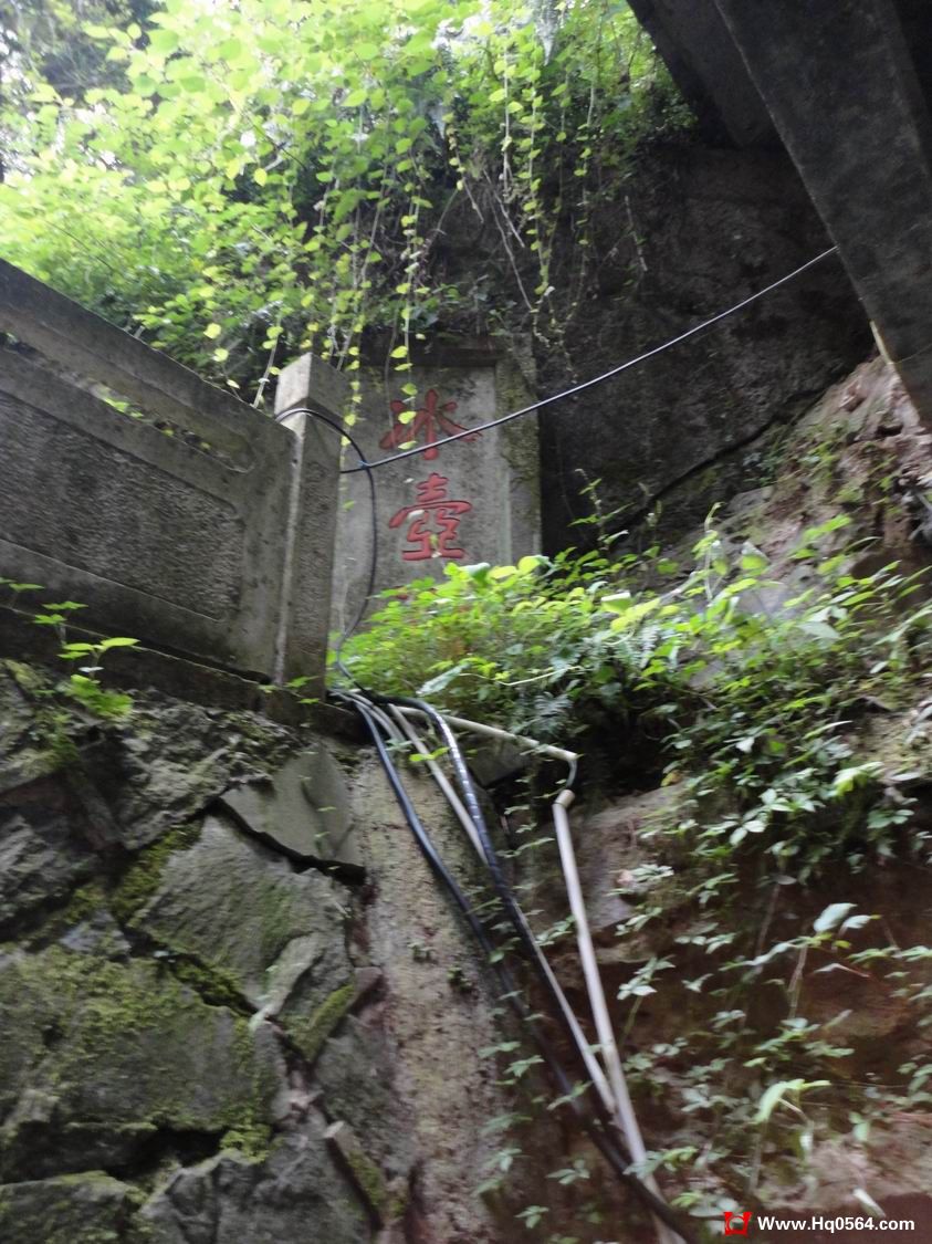 DSC07854.JPG