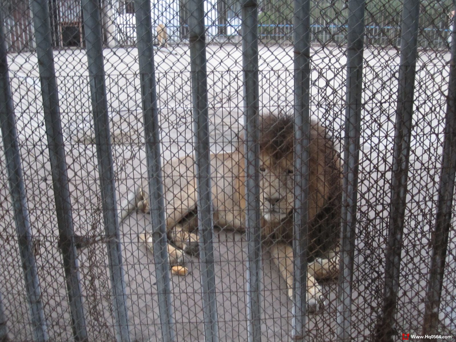IMG_1383.jpg