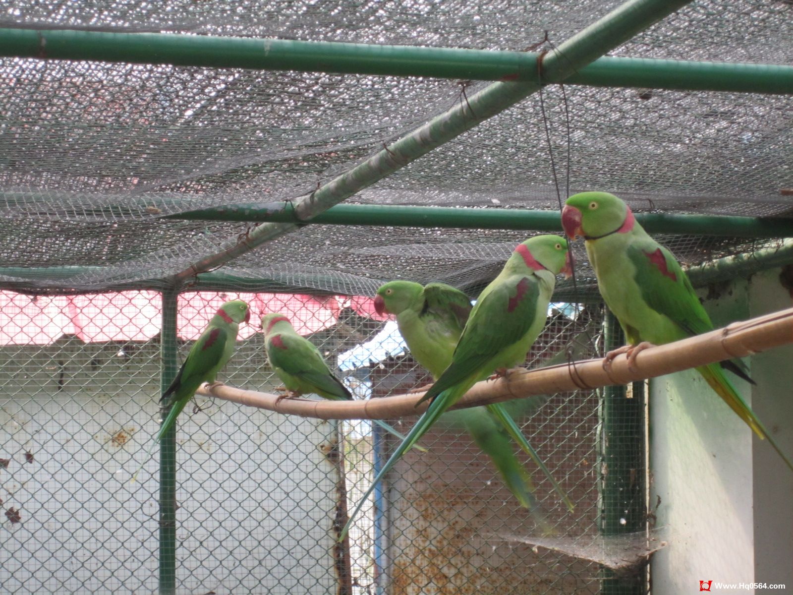 IMG_1250.jpg