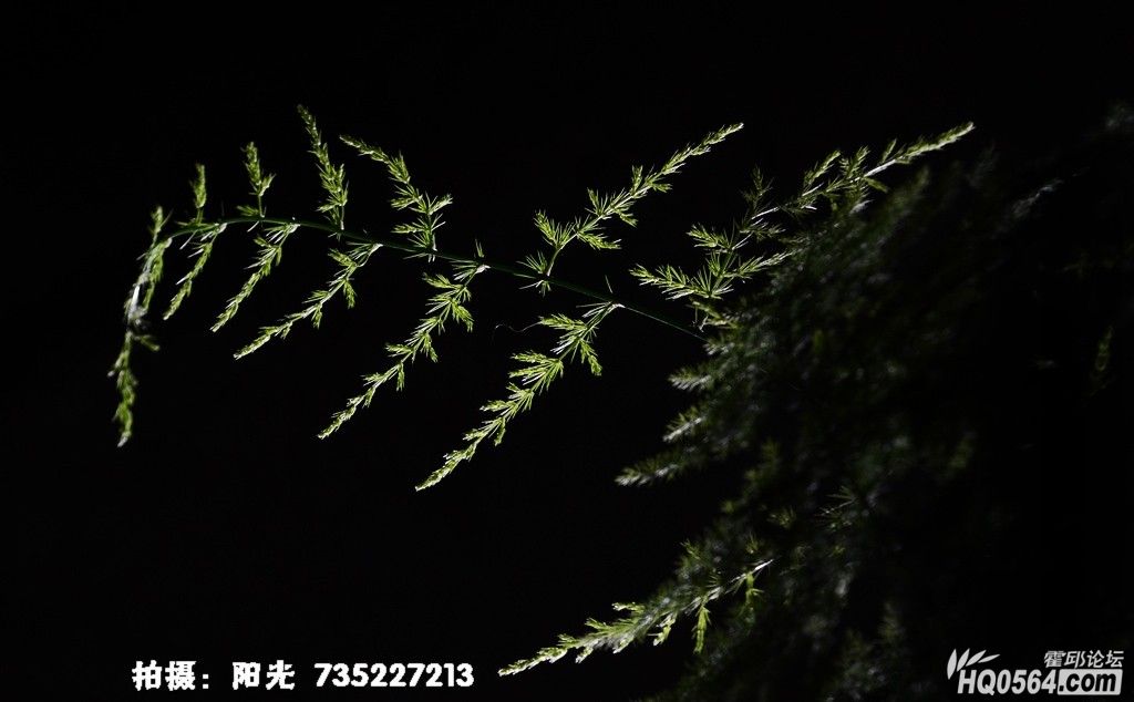 DSC_1965.JPG