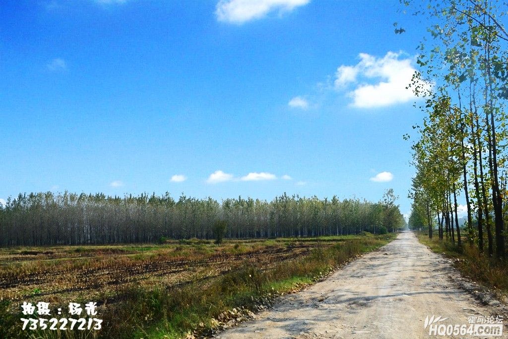 DSC_0692.JPG