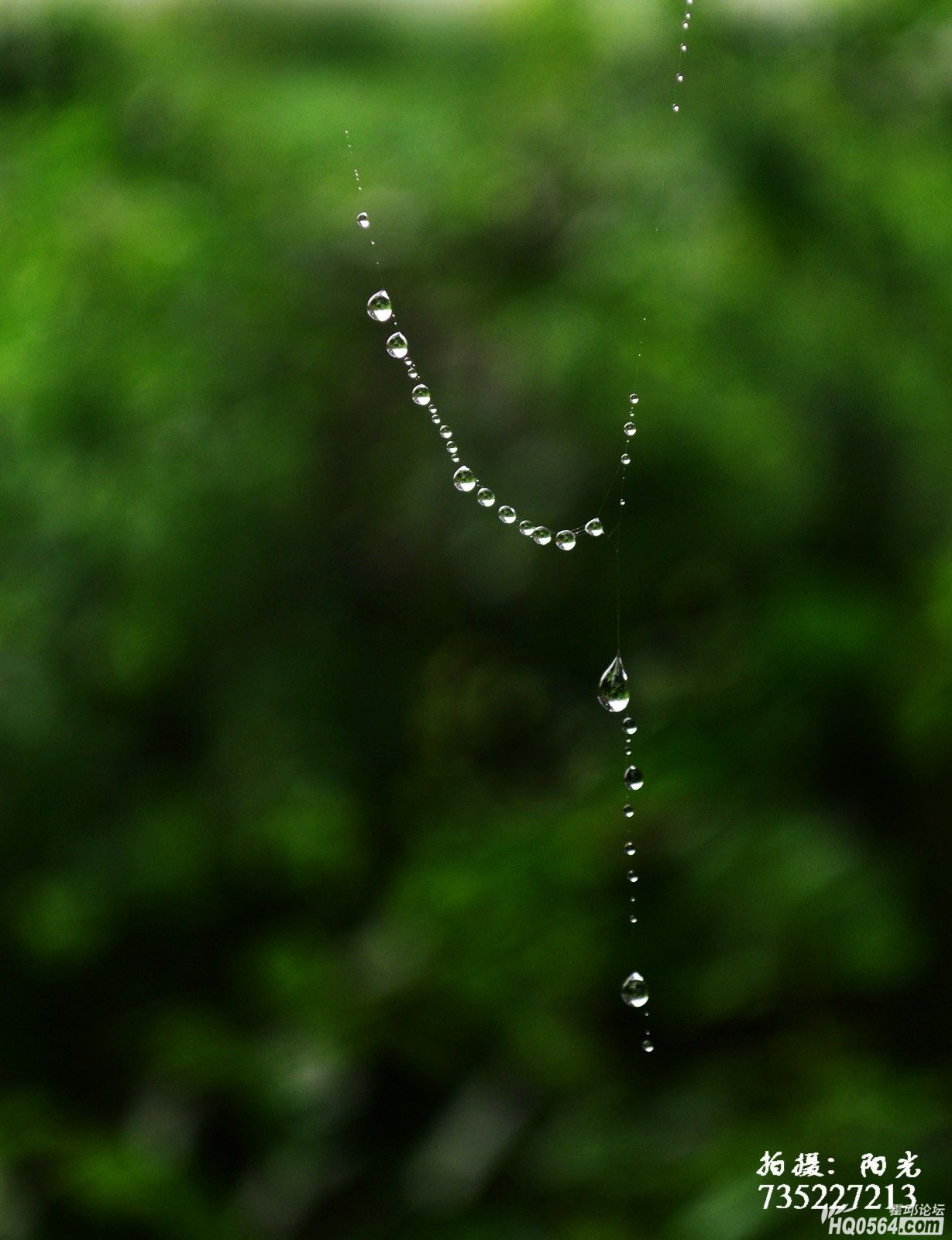 DSC_4655.JPG