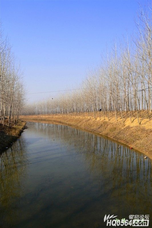 a13825036_01000.jpg
