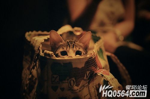 6742013201184499t.jpg