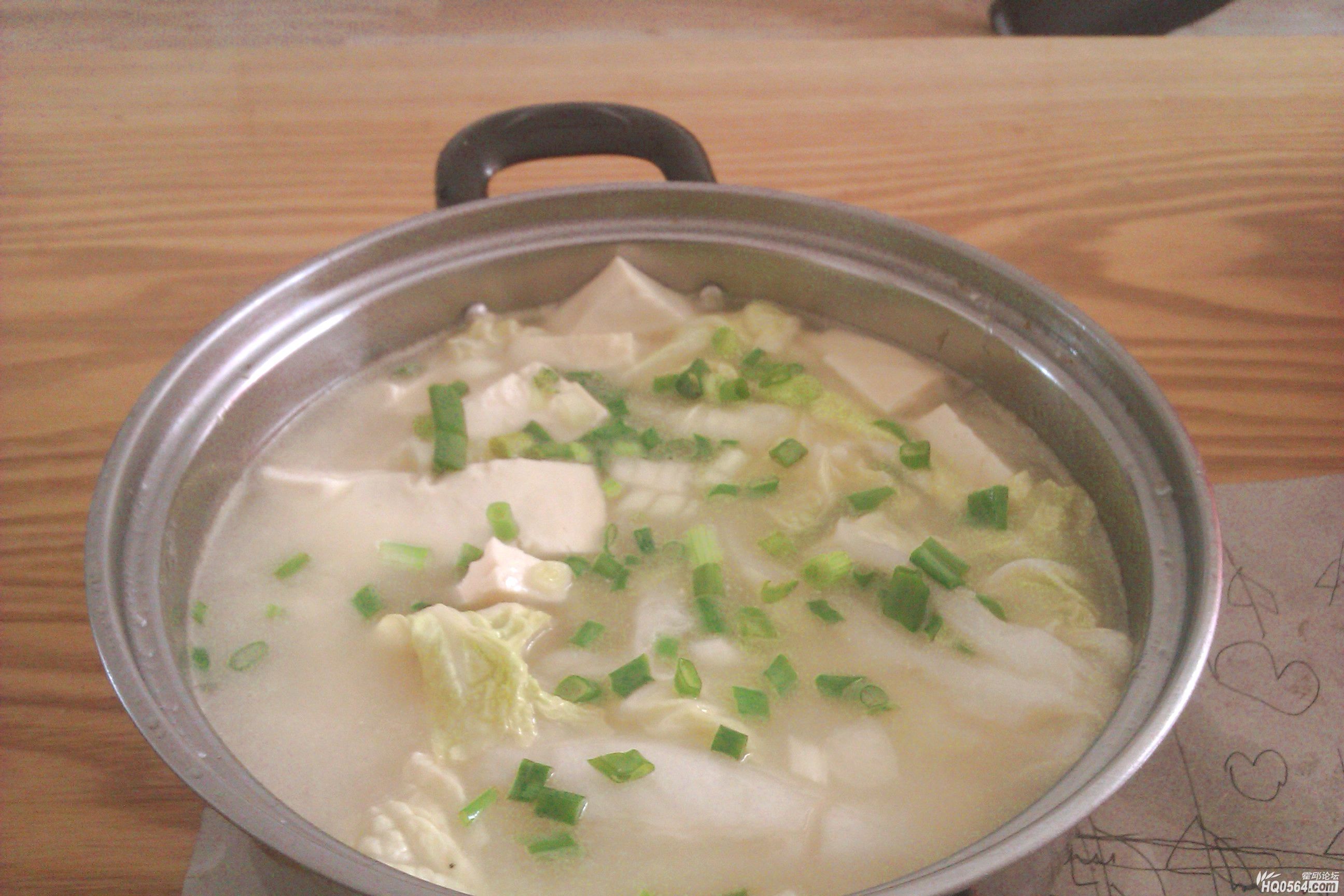 IMAG0062_conew1.jpg