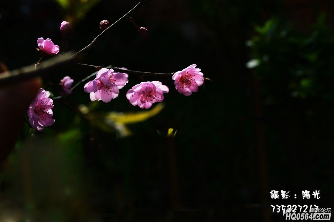 DSC_5501.jpg