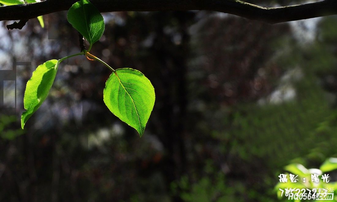DSC_5564.jpg