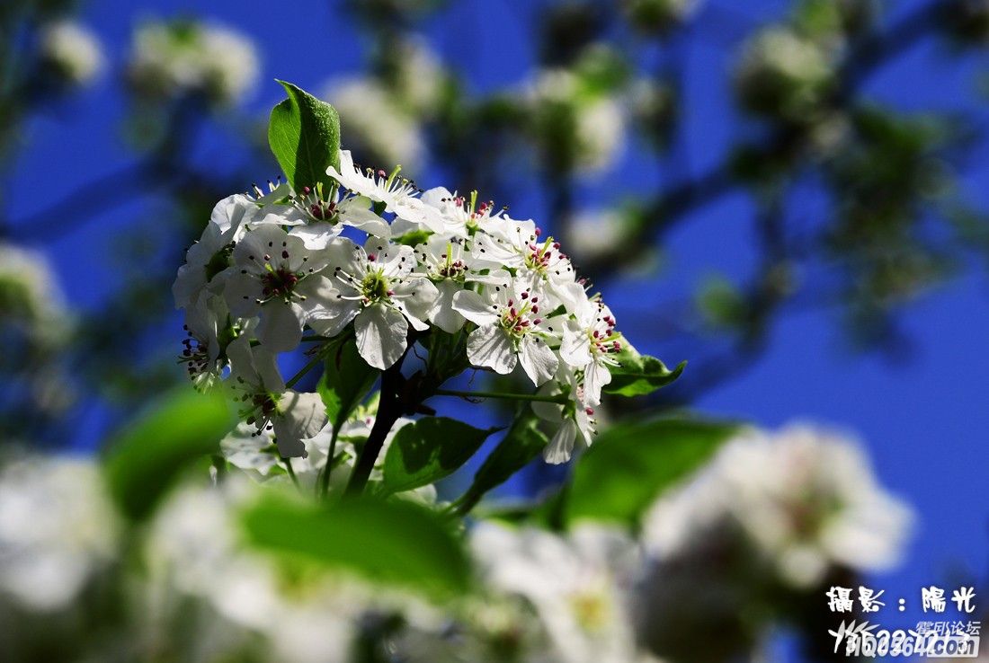 DSC_5546.jpg