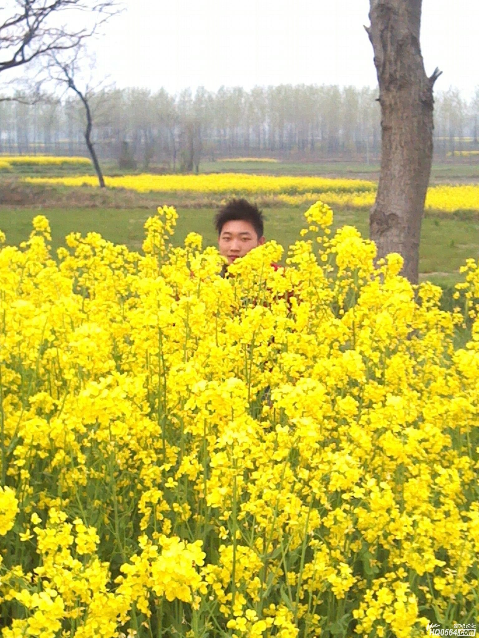 IMG_20120404_181036.jpg