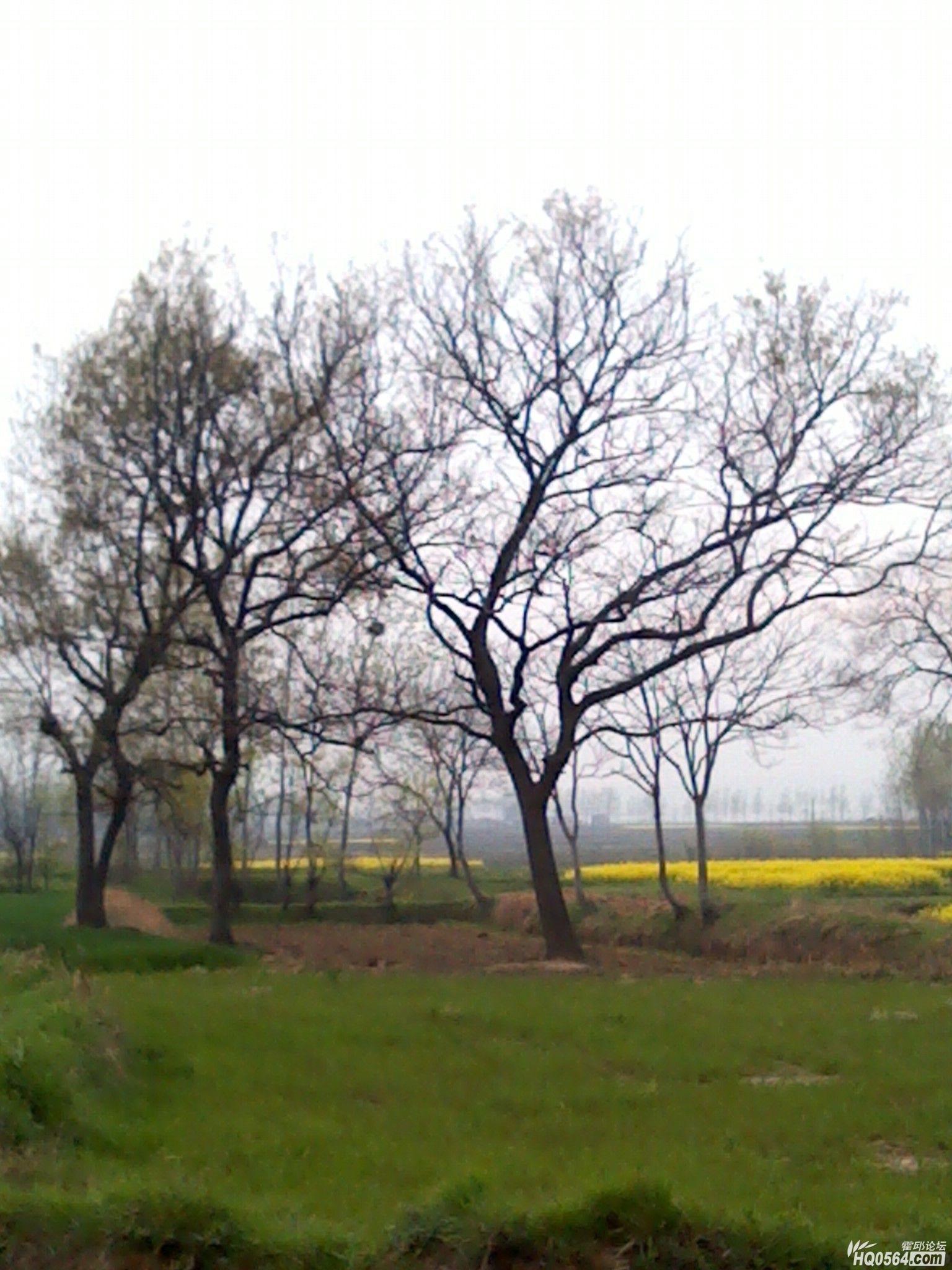 IMG_20120404_181115.jpg