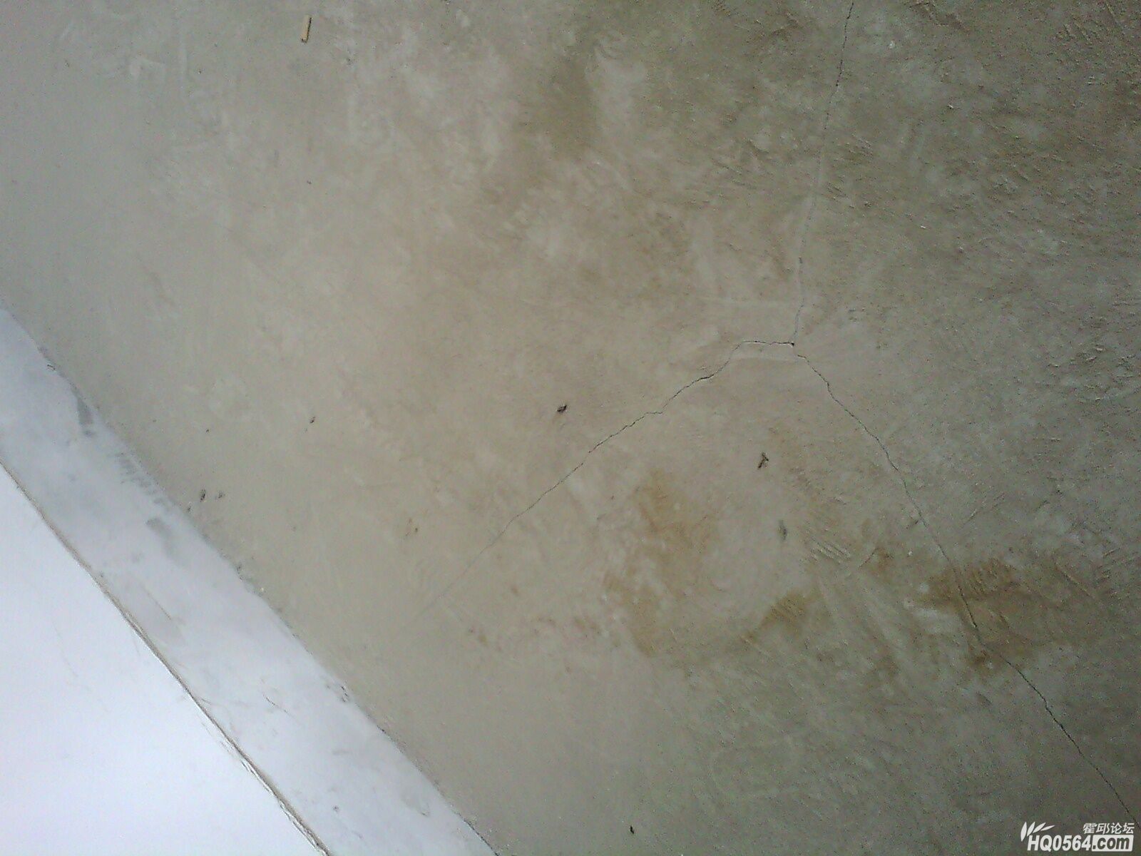 IMG0449A.jpg