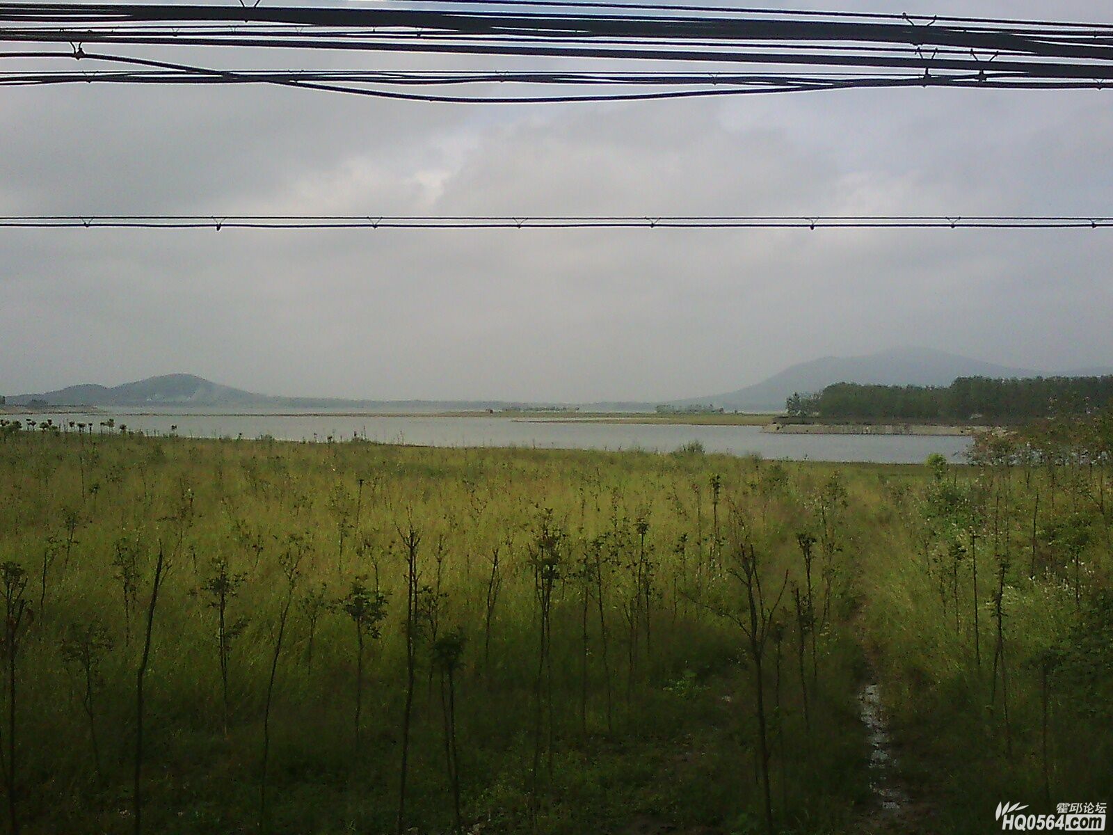 IMG0483A.jpg