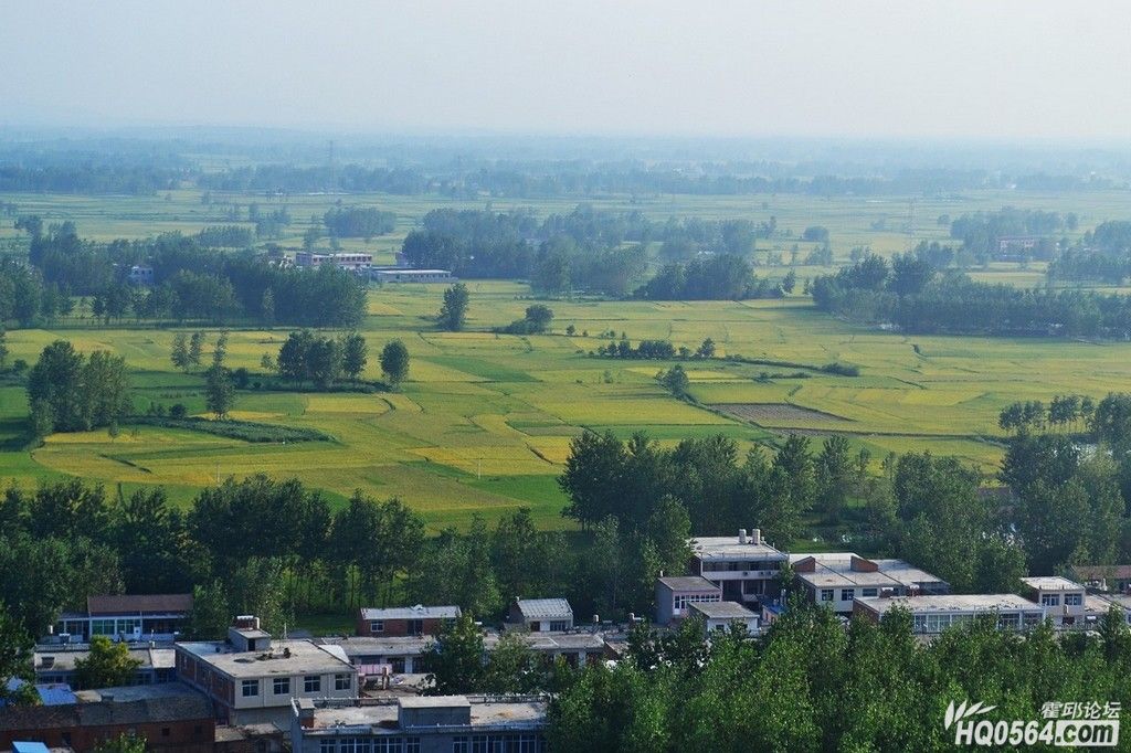 DSC_8689.JPG