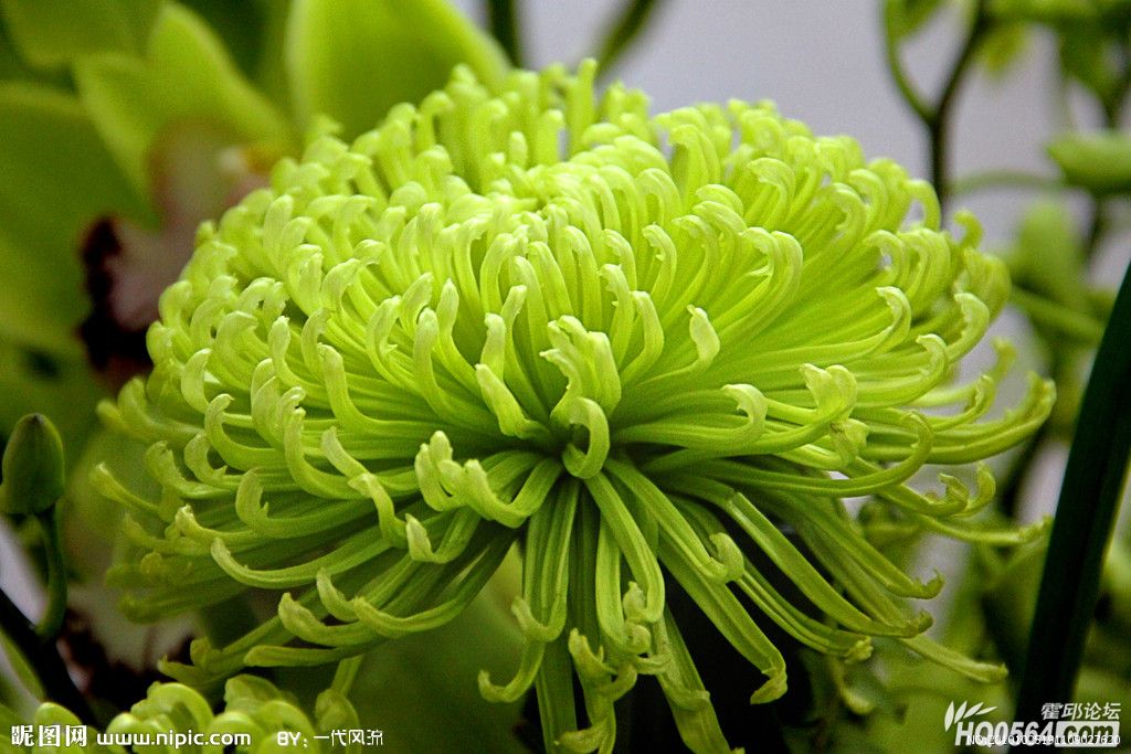 3723288_191109027620_2.jpg