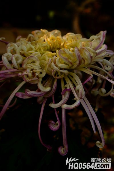 DSC08441.JPG