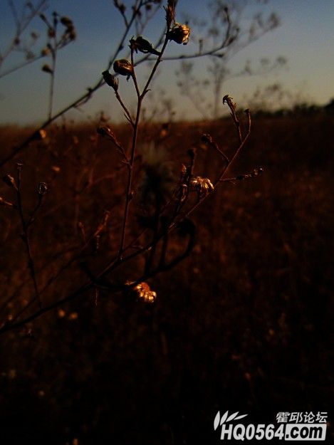 QQ��ͼ20121209230224.jpg